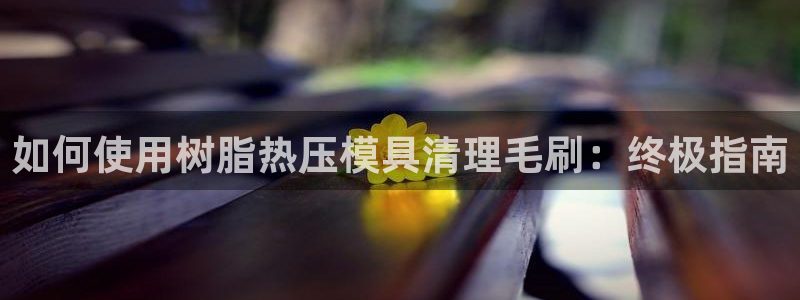 EMC易倍官方网址：如何使用树脂热压模具清理毛刷：终极指