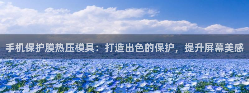emc服务器是什么：手机保护膜热压模具：打造出色的保护，