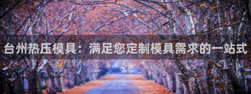 emc全站下载：台州热压模具：满足您定制模具需求的一站式
