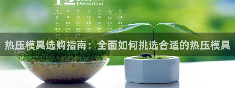 易倍纤减肥反弹不