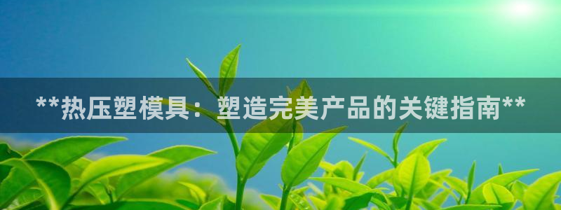 低频的emc用什么滤波：**热压塑模具：塑造完美产品的关
