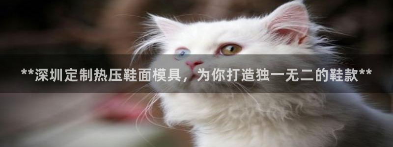 易倍英语官方网站登录：**深圳定制热压鞋面模具，为你打造