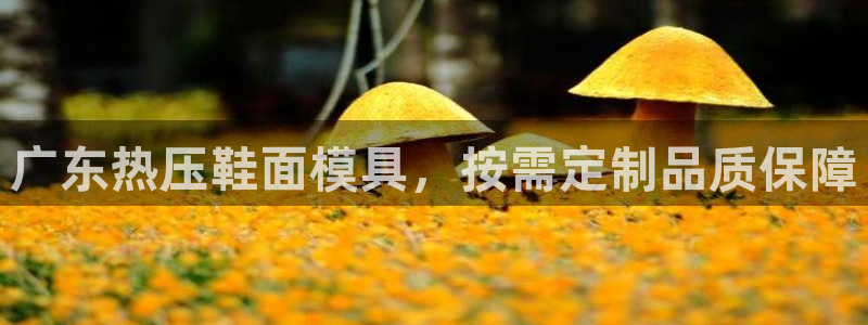 南京易倍易电子科技有限公司
