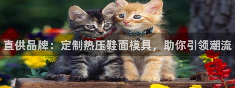 emc易倍老板