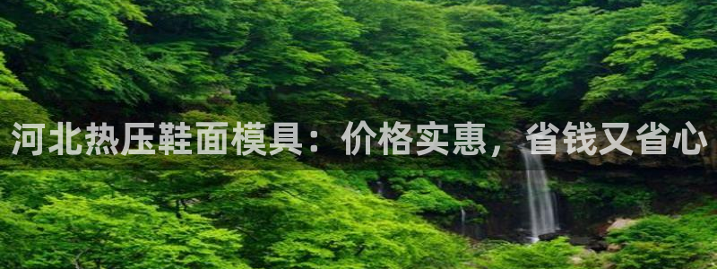 易倍达怎么样