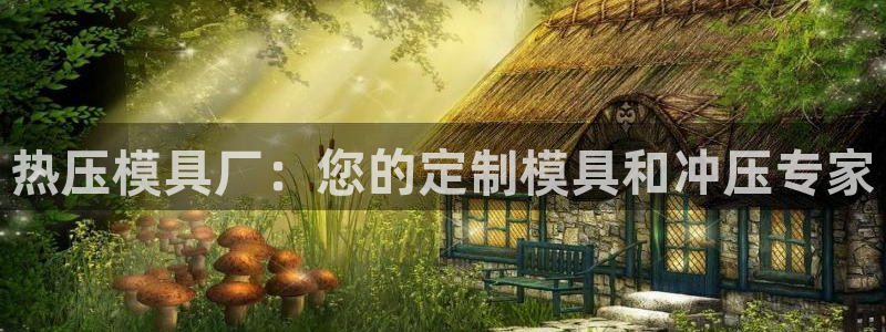emc mcu：热压模具厂：您的定制模具和冲压专家
