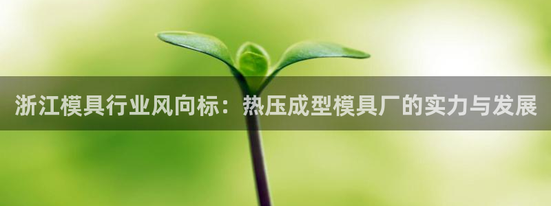 易倍企业管理软件怎么样