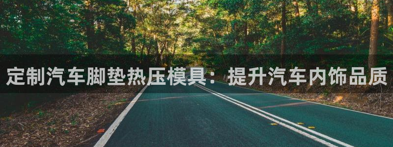 易倍单词官方网站：定制汽车脚垫热压模具：提升汽车内饰品质