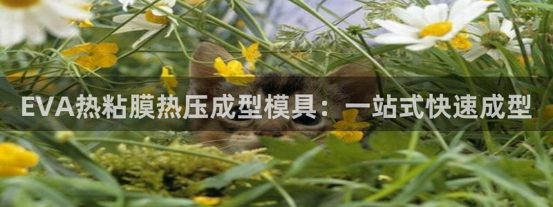 易倍申能长期吃吗