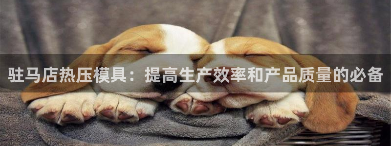 emc倍频超了：驻马店热压模具：提高生产效率和产品质量的