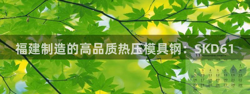 易倍网络技术有限公司是干嘛的