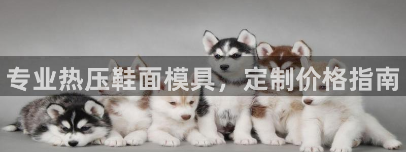 易倍单词软件