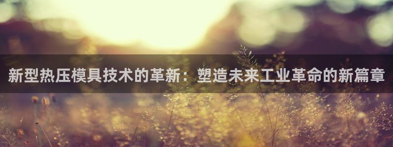 emc倍频干扰怎么解决：新型热压模具技术的革新：塑造未来