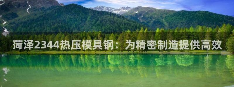 易倍申片的副作用：菏泽2344热压模具钢：为精密制造提供