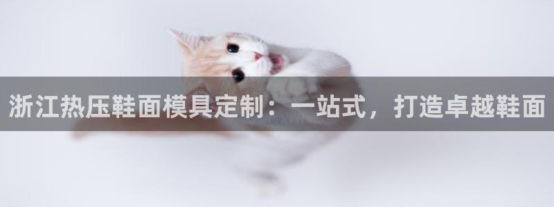 易倍申片的副作用：浙江热压鞋面模具定制：一站式，打造卓越