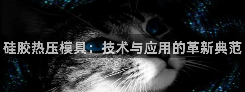 易倍单词app官网：硅胶热压模具：技术与应用的革新典范