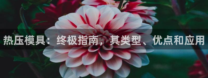 易倍下载地址：热压模具：终极指南，其类型、优点和应用