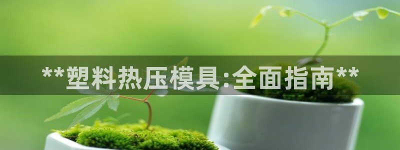 易倍申片的副作用：**塑料热压模具:全面指南**