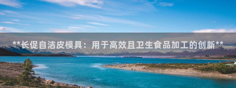 emc网页版：**长促自洁皮模具：用于高效且卫生食品加工