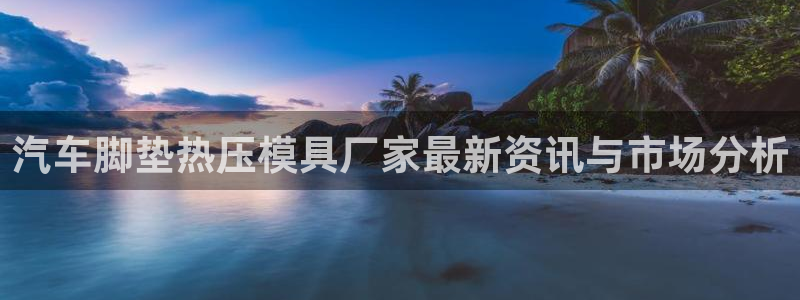 EMC倍频系数：汽车脚垫热压模具厂家最新资讯与市场分析