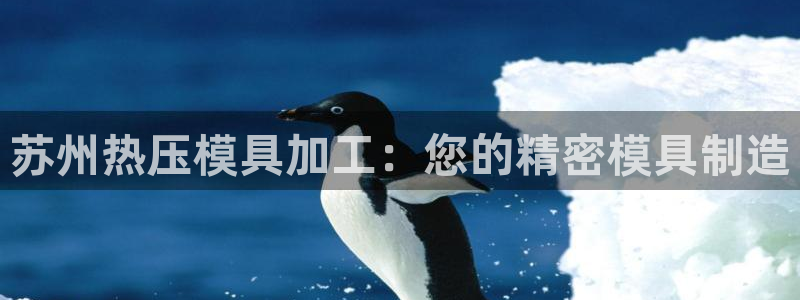 易倍电竞,有球必应：苏州热压模具加工：您的精密模具制造
