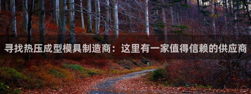 北京易倍思教育怎么样：寻找热压成型模具制造商：这里有一家