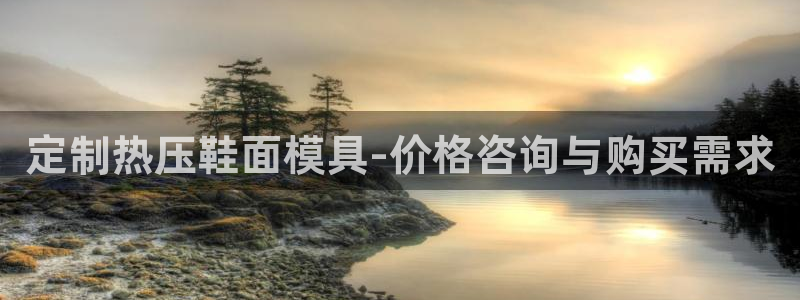易倍单词登录平台：定制热压鞋面模具-价格咨询与购买需求