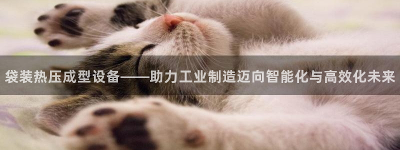 易倍思怎么样：袋装热压成型设备——助力工业制造迈向智能化