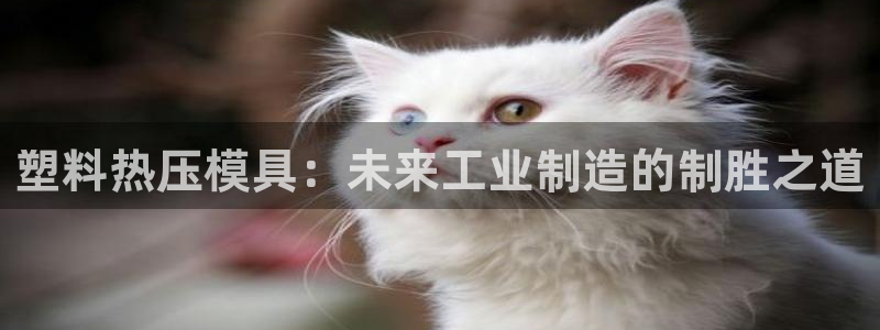 易倍申价格：塑料热压模具：未来工业制造的制胜之道