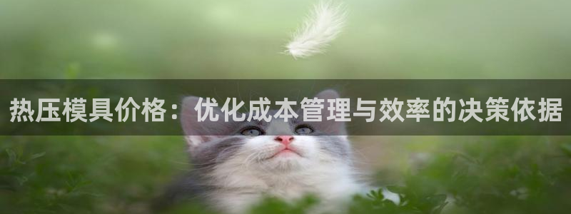 emc易倍官方平台：热压模具价格：优化成本管理与效率的决
