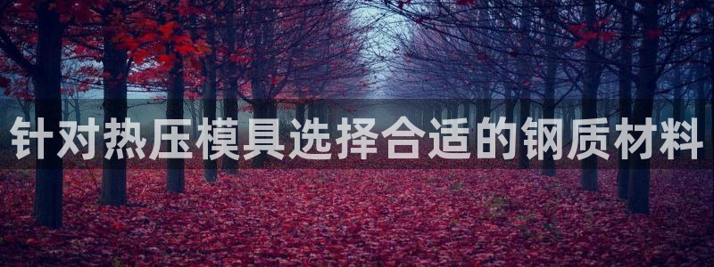 易倍企业管理软件：针对热压模具选择合适的钢质材料