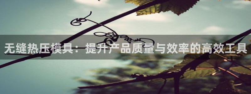 emc倍频超了：无缝热压模具：提升产品质量与效率的高效工