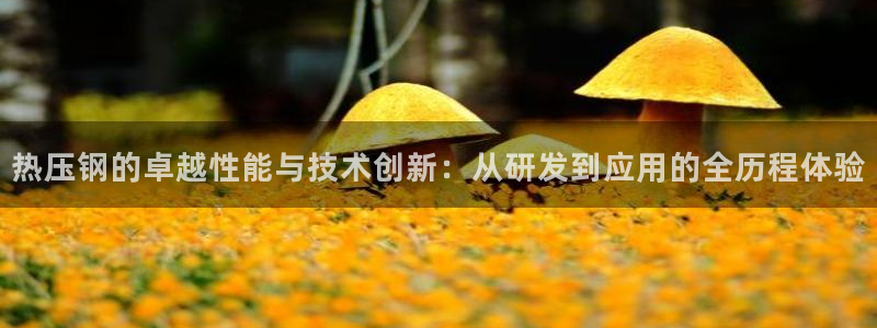 emc参数：热压钢的卓越性能与技术创新：从研发到应用的全