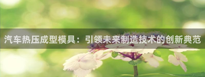 emc32软件安装：汽车热压成型模具：引领未来制造技术的