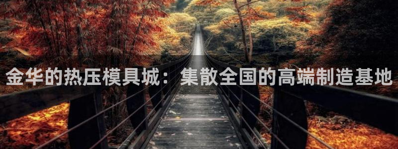emcapp下载普通下载：金华的热压模具城：集散全国的高