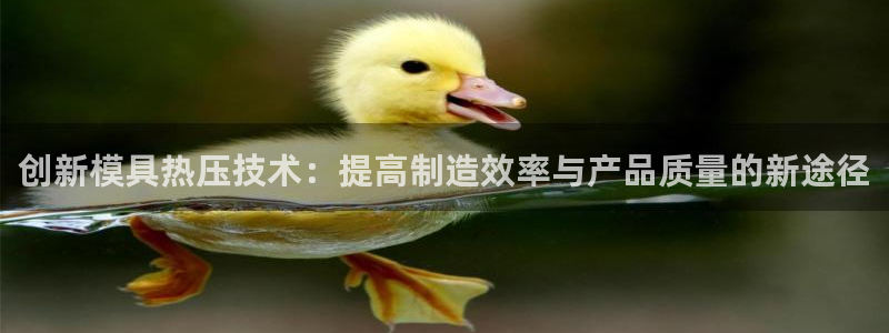 易倍思教育：创新模具热压技术：提高制造效率与产品质量的新