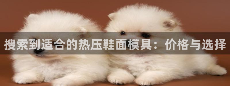 易倍emc安全吗：搜索到适合的热压鞋面模具：价格与选择