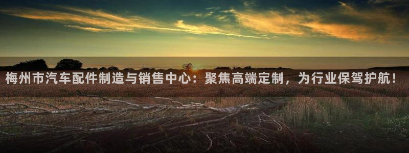 易倍达怎么样：梅州市汽车配件制造与销售中心：聚焦高端定制
