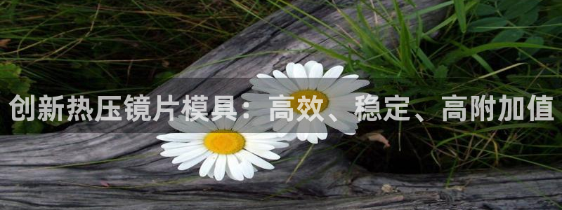 易倍申的副作用：创新热压镜片模具：高效、稳定、高附加值