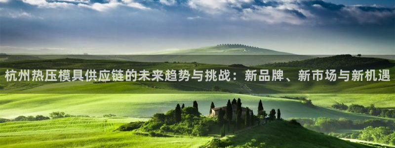 emc易倍出空款：杭州热压模具供应链的未来趋势与挑战：新
