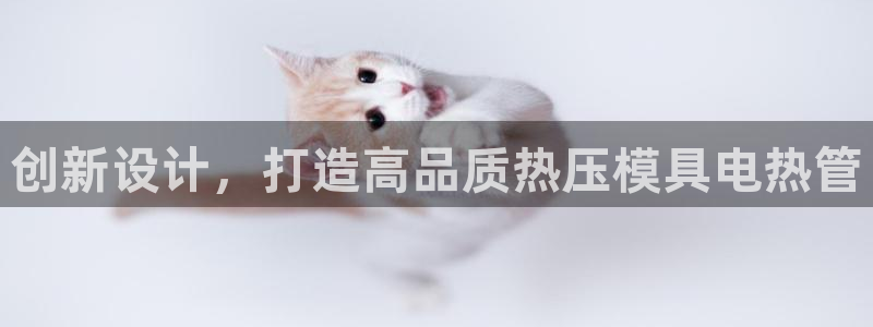 易倍单词登录平台：创新设计，打造高品质热压模具电热管