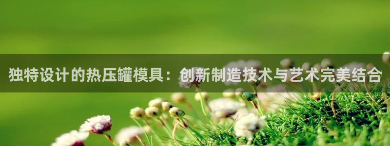 emc倍频干扰：独特设计的热压罐模具：创新制造技术与艺术