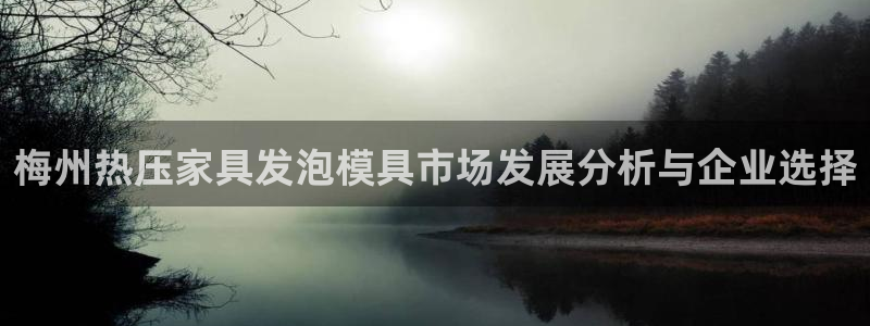 易倍电竞,有球必应：梅州热压家具发泡模具市场发展分析与企