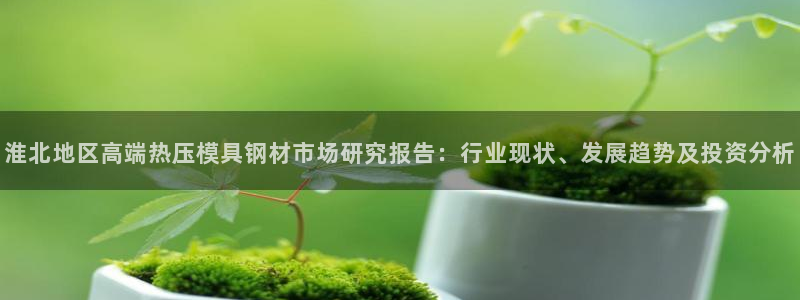 易倍单词软件：淮北地区高端热压模具钢材市场研究报告：行业