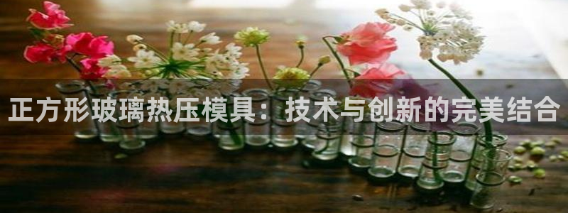 emc易倍app官网下载：正方形玻璃热压模具：技术与创新
