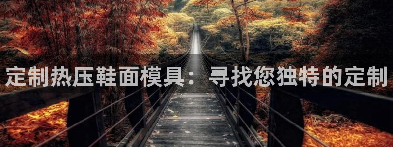 易倍emc网址网页版本登陆：定制热压鞋面模具：寻找您独特