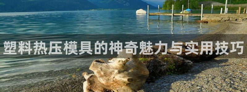 易倍单词app：塑料热压模具的神奇魅力与实用技巧