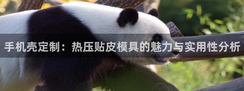 emc高频比低频好改：手机壳定制：热压贴皮模具的魅力与实