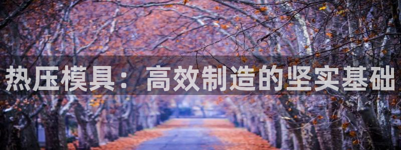 易倍纤价格：热压模具：高效制造的坚实基础