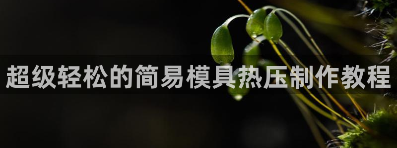 易倍单词官方网站登录：超级轻松的简易模具热压制作教程